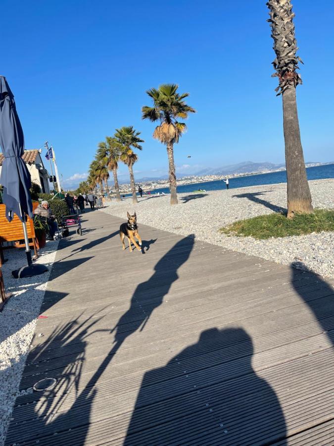 Villeneuve Loubet Plage- Entre Nice Et Cannes Zewnętrze zdjęcie