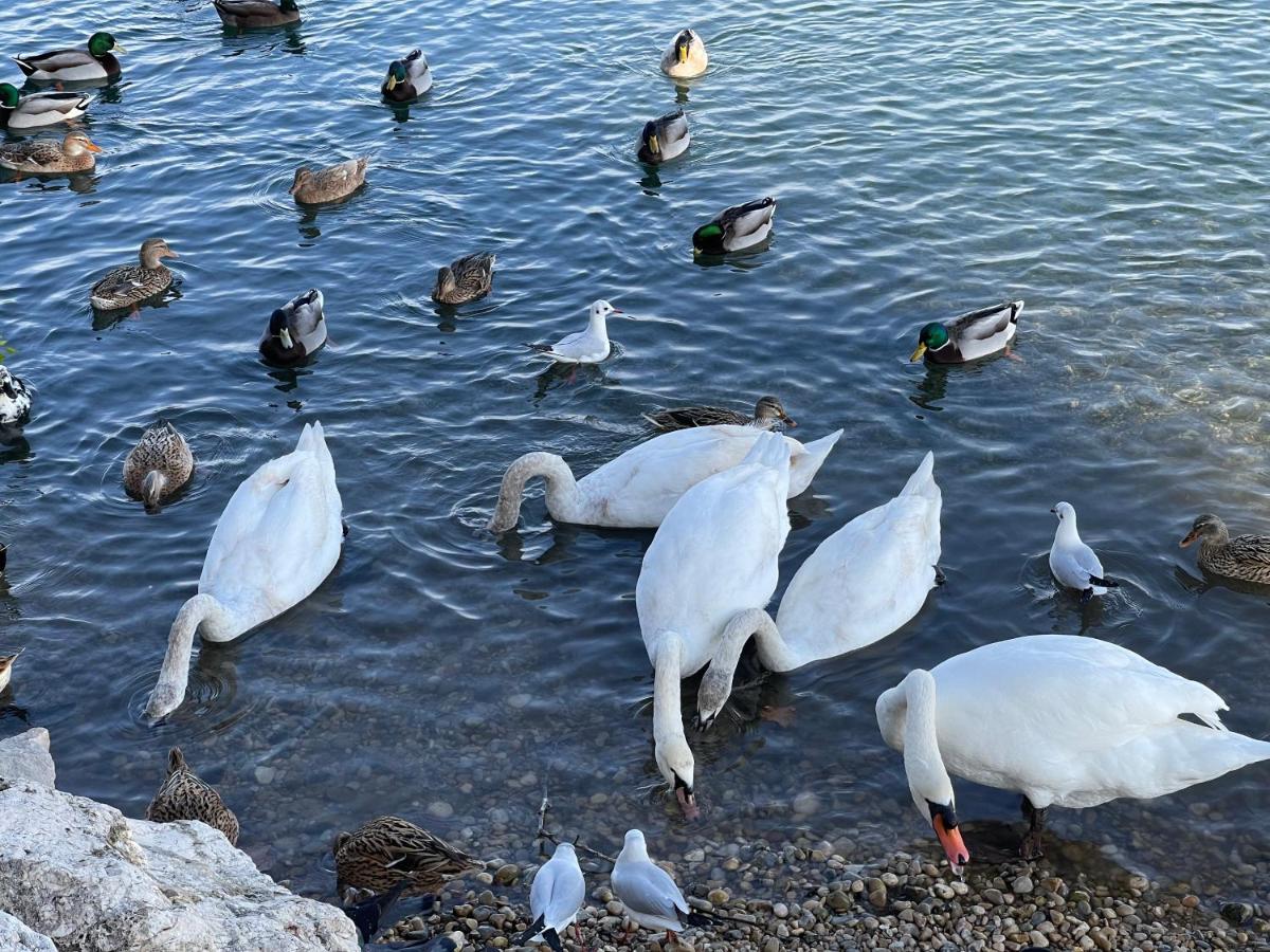 Villeneuve Loubet Plage- Entre Nice Et Cannes Zewnętrze zdjęcie