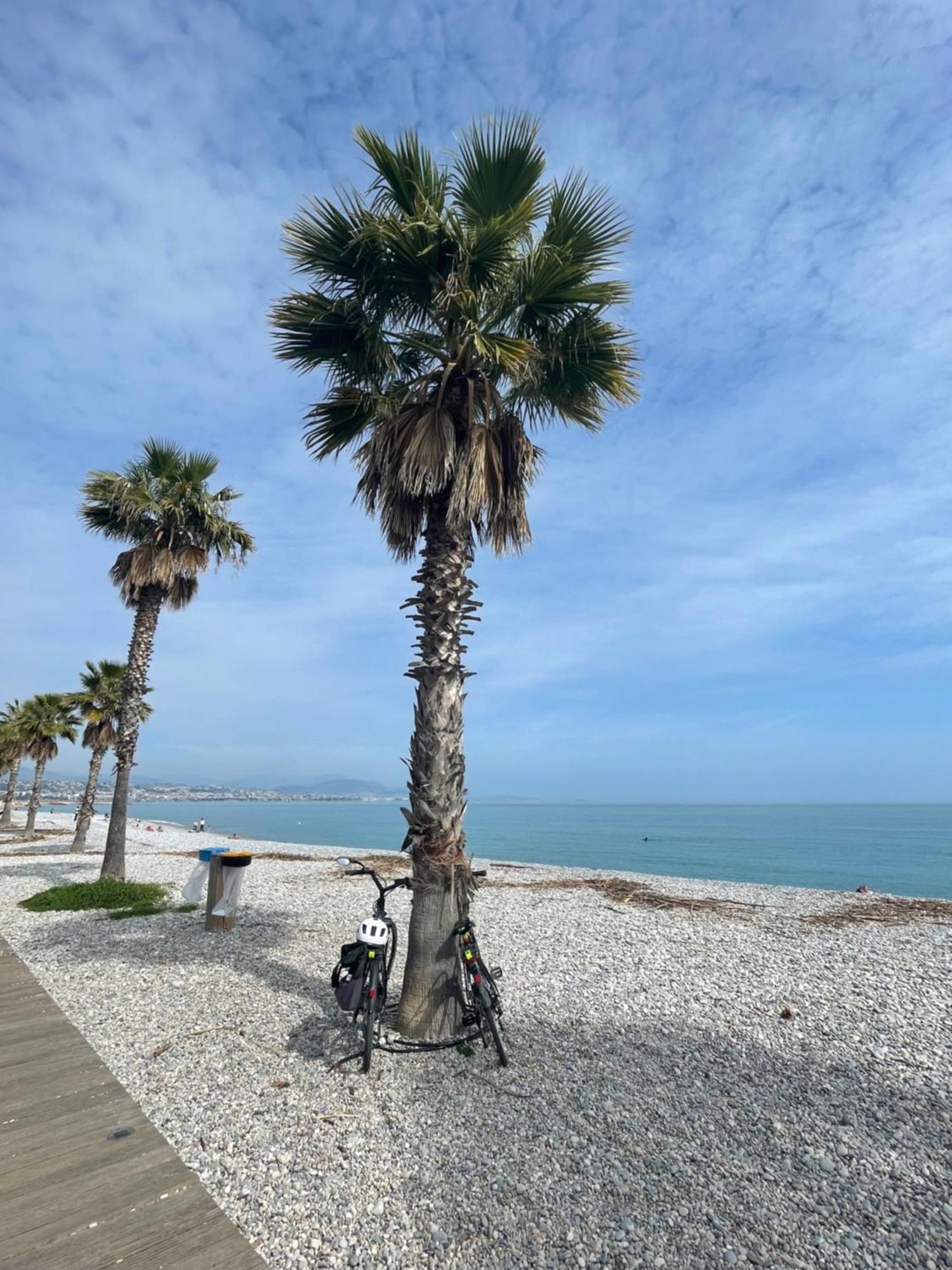 Villeneuve Loubet Plage- Entre Nice Et Cannes Zewnętrze zdjęcie