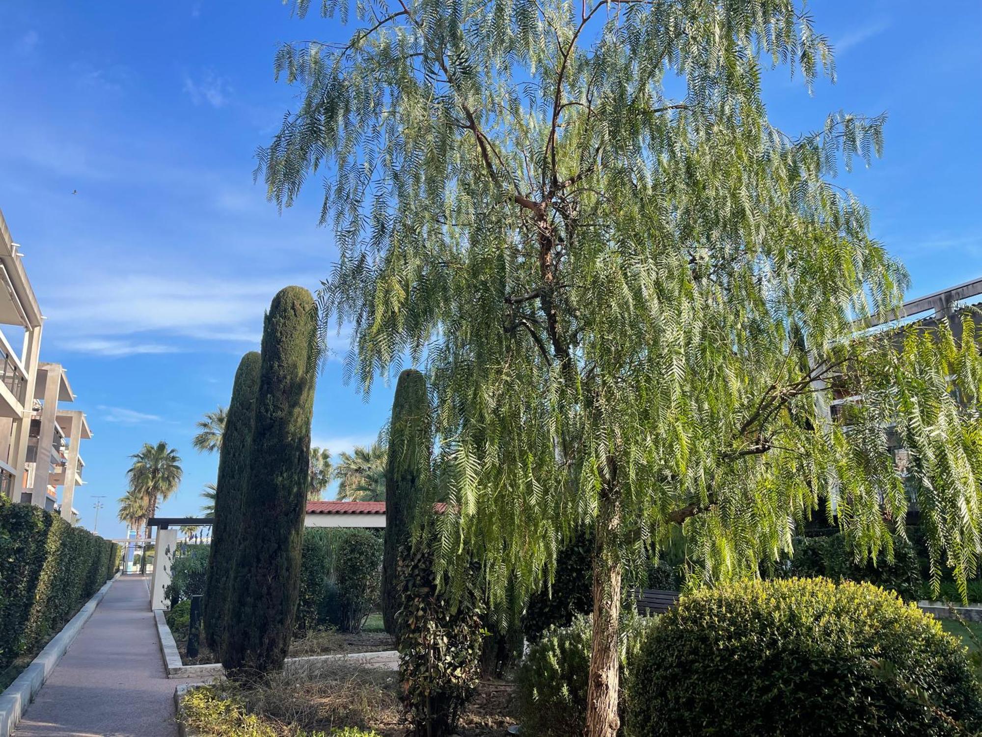 Villeneuve Loubet Plage- Entre Nice Et Cannes Zewnętrze zdjęcie