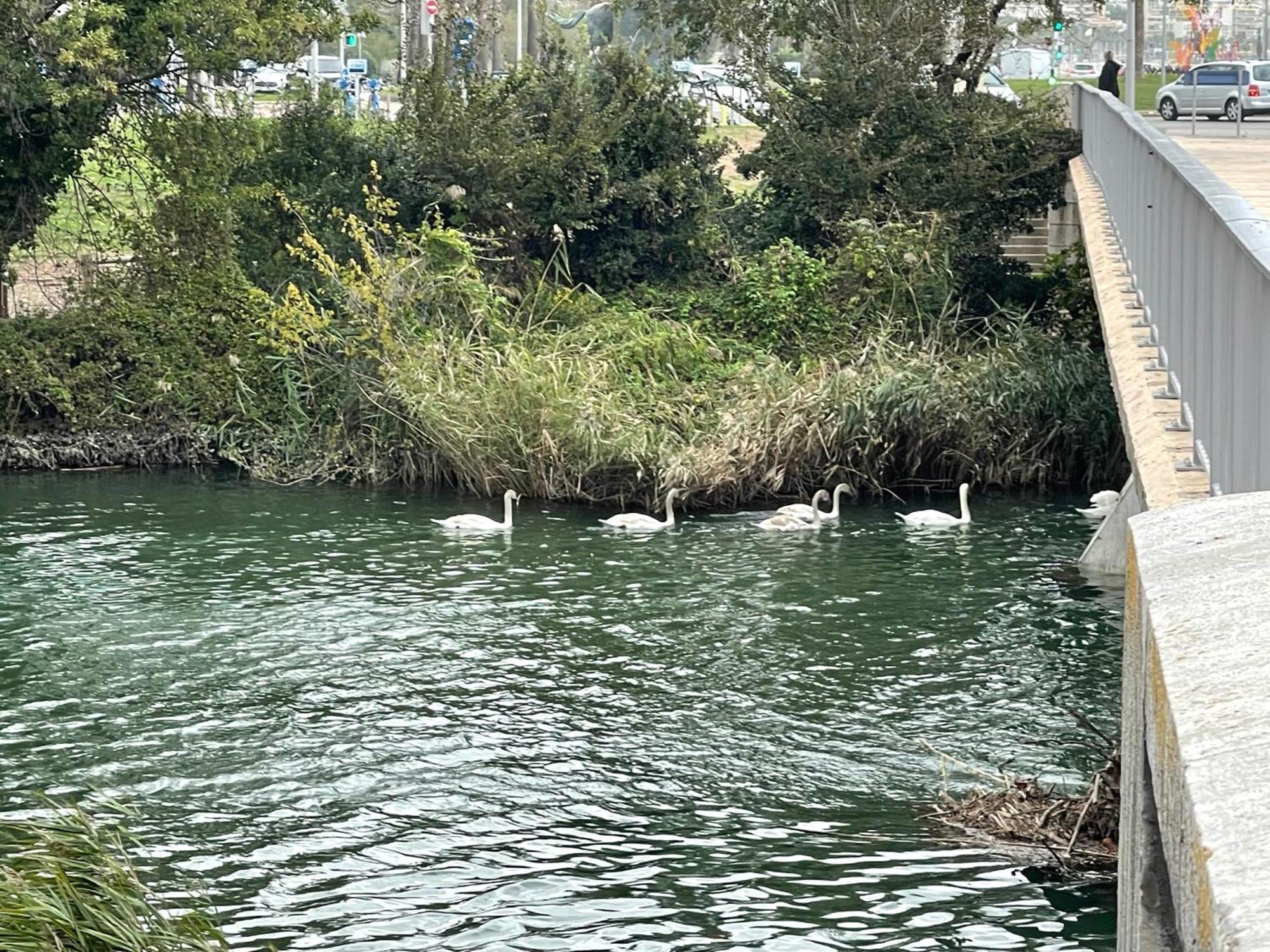 Villeneuve Loubet Plage- Entre Nice Et Cannes Zewnętrze zdjęcie